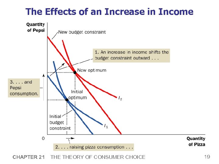 The Effects of an Increase in Income CHAPTER 21 THEORY OF CONSUMER CHOICE 19