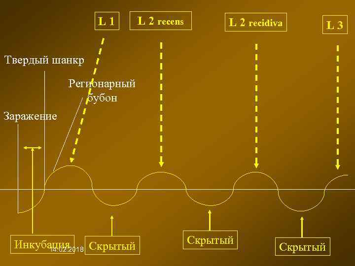L 1 L 2 recens L 2 recidiva Твердый шанкр Регионарный бубон Заражение Инкубация