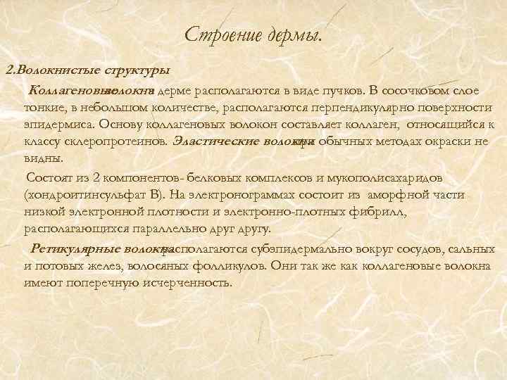 Строение дермы. 2. Волокнистые структуры Коллагеновые волокна дерме располагаются в виде пучков. В сосочковом
