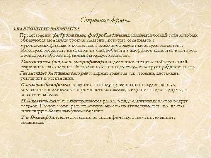 Строение дермы. 3. КЛЕТОЧНЫЕ ЭЛЕМЕНТЫ. Представлены фиброцитами, фибробластами - в эндоплазматический сети которых образуются