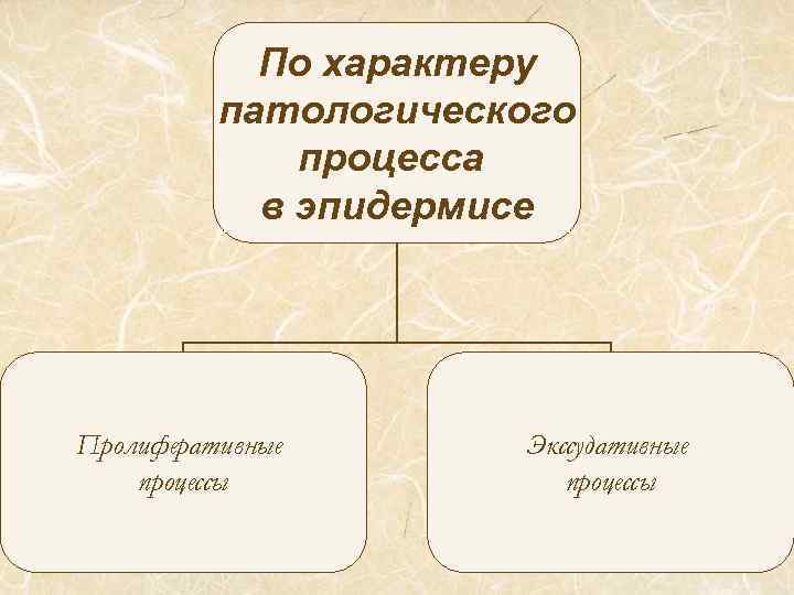 По характеру патологического процесса в эпидермисе Пролиферативные процессы Экссудативные процессы 