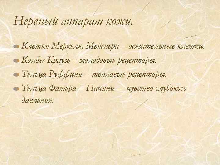 Нервный аппарат кожи. Клетки Меркеля, Мейснера – осязательные клетки. Колбы Краузе – холодовые рецепторы.