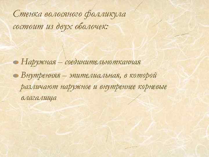 Стенка волосяного фолликула состоит из двух оболочек: Наружная – соединительнотканная Внутренняя – эпителиальная, в