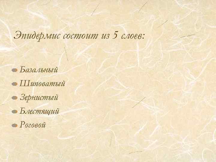 Эпидермис состоит из 5 слоев: Базальный Шиповатый Зернистый Блестящий Роговой 