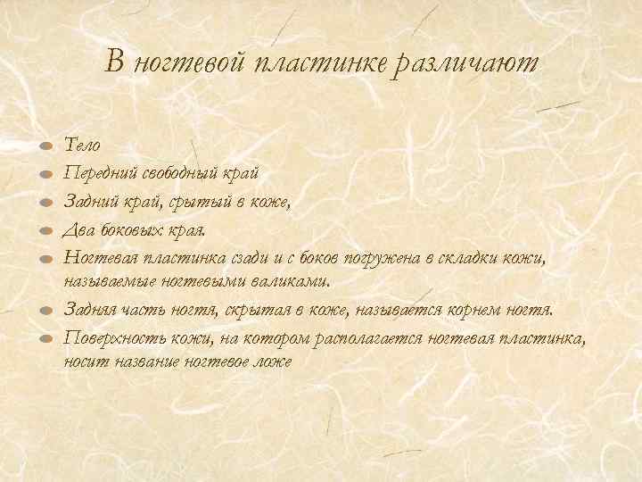 В ногтевой пластинке различают Тело Передний свободный край Задний край, срытый в коже, Два