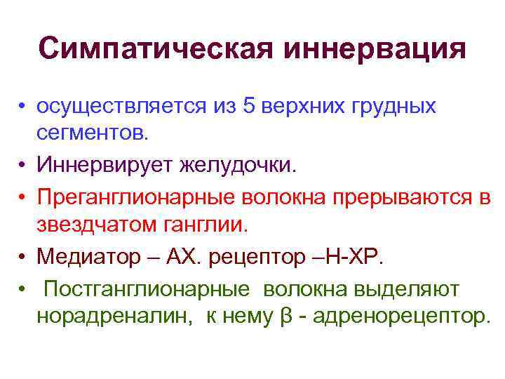 Симпатическая иннервация • осуществляется из 5 верхних грудных сегментов. • Иннервирует желудочки. • Преганглионарные