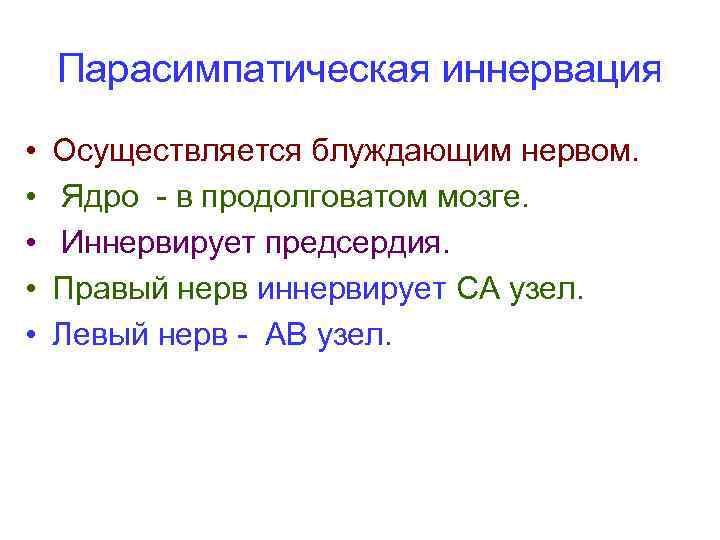 Парасимпатическая иннервация • • • Осуществляется блуждающим нервом. Ядро - в продолговатом мозге. Иннервирует