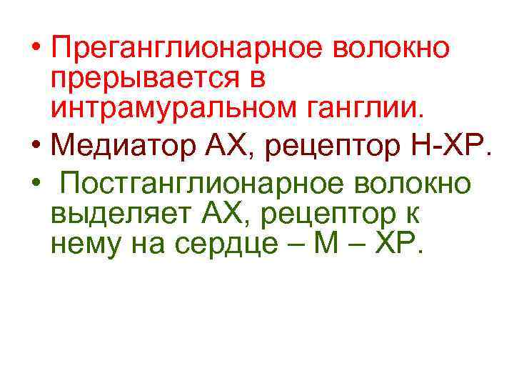  • Преганглионарное волокно прерывается в интрамуральном ганглии. • Медиатор АХ, рецептор Н-ХР. •