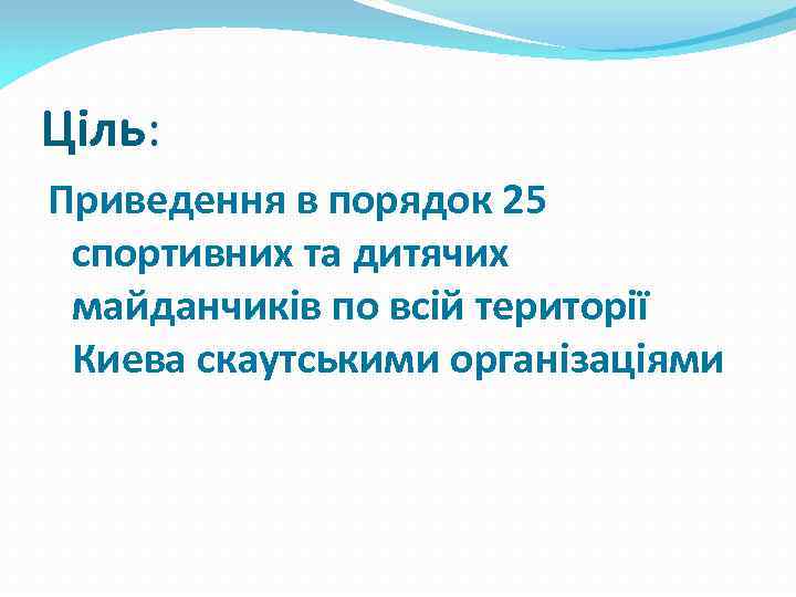 Ціль: Приведення в порядок 25 спортивних та дитячих майданчиків по всій території Киева скаутськими