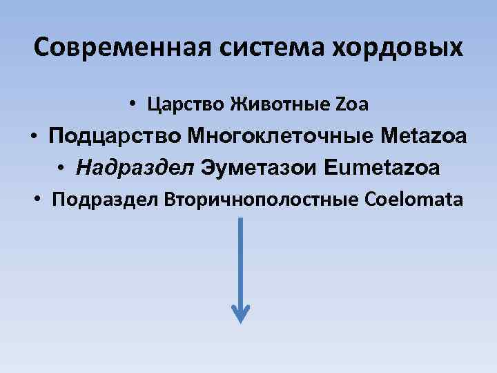 Современная система хордовых • Царство Животные Zoa • Подцарство Многоклеточные Metazoa • Надраздел Эуметазои