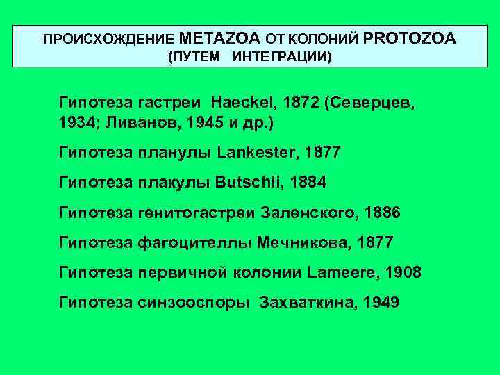 ПРОИСХОЖДЕНИЕ METAZOA ОТ КОЛОНИЙ PROTOZOA (ПУТЕМ ИНТЕГРАЦИИ) Гипотеза гастреи Haeckel, 1872 (Северцев, 1934; Ливанов,