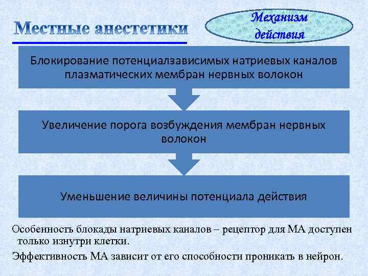 Механизм действия Блокирование потенциалзависимых натриевых каналов плазматических мембран нервных волокон Увеличение порога возбуждения мембран