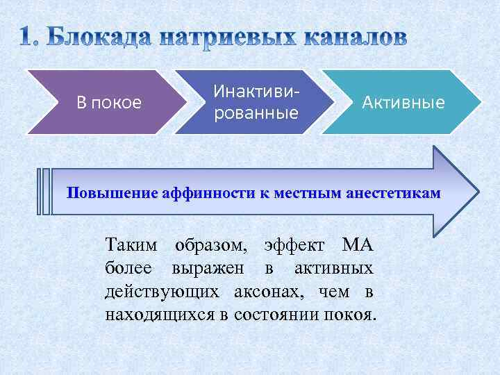 В покое Инактивированные Активные Повышение аффинности к местным анестетикам Таким образом, эффект МА более