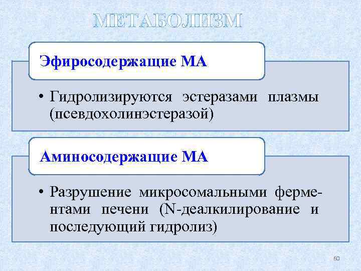 МЕТАБОЛИЗМ Эфиросодержащие МА • Гидролизируются эстеразами плазмы (псевдохолинэстеразой) Аминосодержащие МА • Разрушение микросомальными ферментами