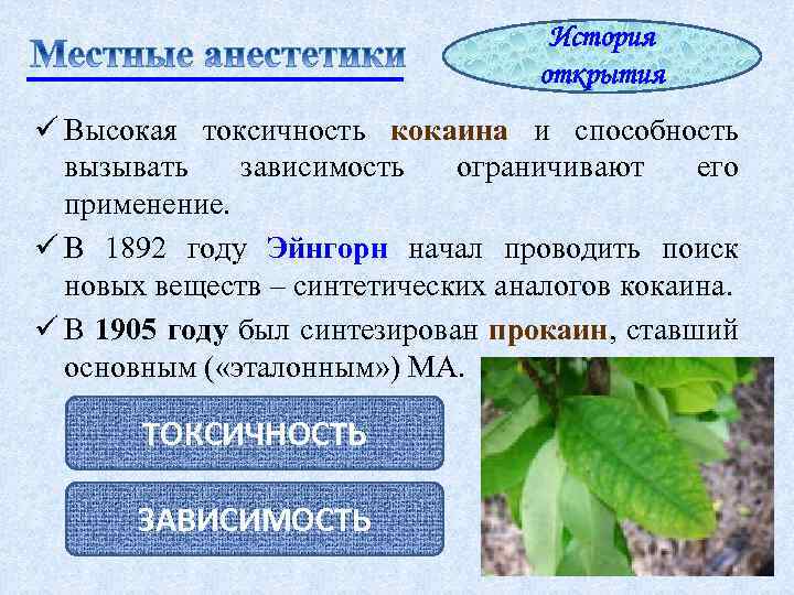 История открытия ü Высокая токсичность кокаина и способность вызывать зависимость ограничивают его применение. ü