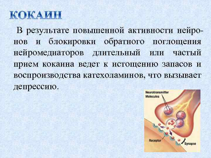 В результате повышенной активности нейронов и блокировки обратного поглощения нейромедиаторов длительный или частый прием