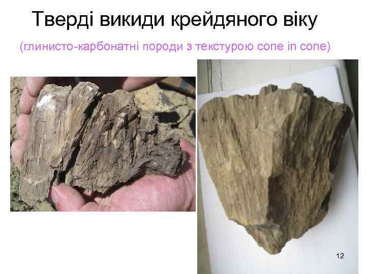 Тверді викиди крейдяного віку (глинисто-карбонатні породи з текстурою cone in cone) 12 