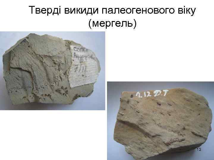 Тверді викиди палеогенового віку (мергель) 13 
