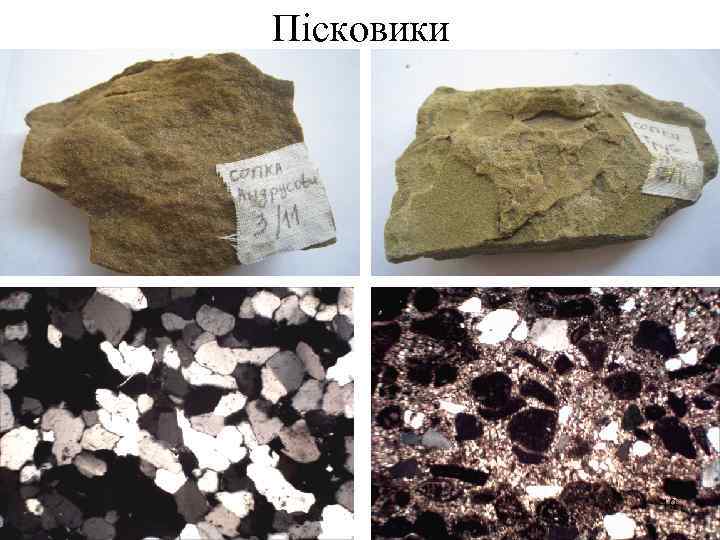 Пісковики 19 