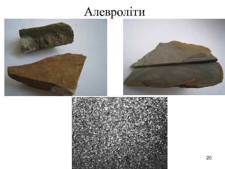 Алевроліти 20 