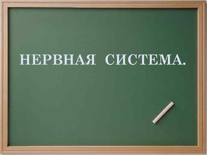 НЕРВНАЯ СИСТЕМА. 