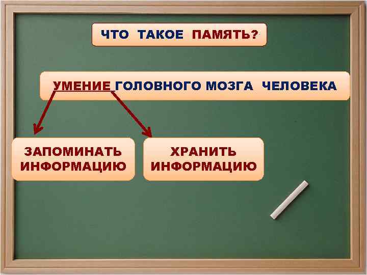 ЧТО ТАКОЕ ПАМЯТЬ? УМЕНИЕ ГОЛОВНОГО МОЗГА ЧЕЛОВЕКА ЗАПОМИНАТЬ ИНФОРМАЦИЮ ХРАНИТЬ ИНФОРМАЦИЮ 