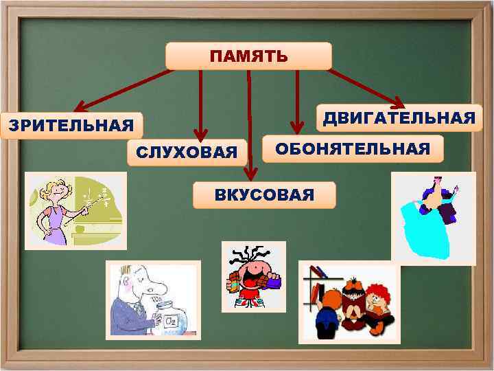 ПАМЯТЬ ДВИГАТЕЛЬНАЯ ЗРИТЕЛЬНАЯ СЛУХОВАЯ ОБОНЯТЕЛЬНАЯ ВКУСОВАЯ 