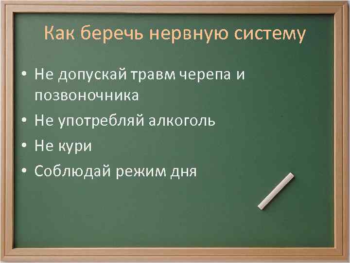 Как беречь нервную систему • Не допускай травм черепа и позвоночника • Не употребляй