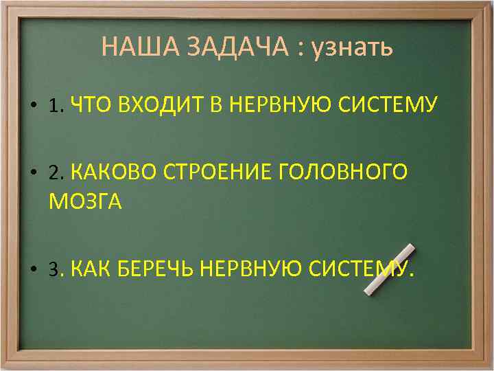 НАША ЗАДАЧА : узнать • 1. ЧТО ВХОДИТ В НЕРВНУЮ СИСТЕМУ • 2. КАКОВО