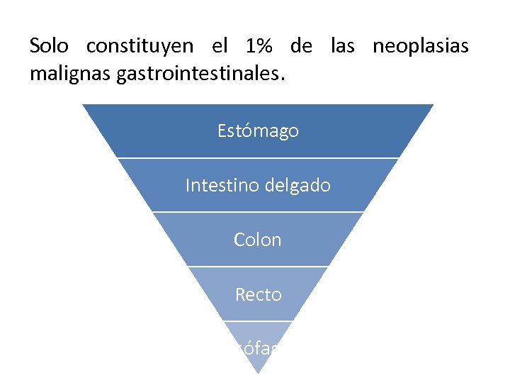 Solo constituyen el 1% de las neoplasias malignas gastrointestinales. Estómago Intestino delgado Colon Recto