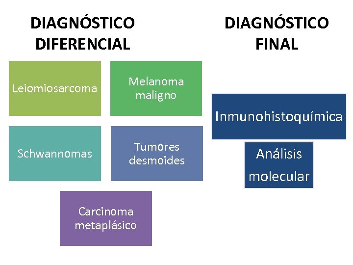 DIAGNÓSTICO DIFERENCIAL Leiomiosarcoma DIAGNÓSTICO FINAL Melanoma maligno Inmunohistoquímica Schwannomas Tumores desmoides Carcinoma metaplásico Análisis