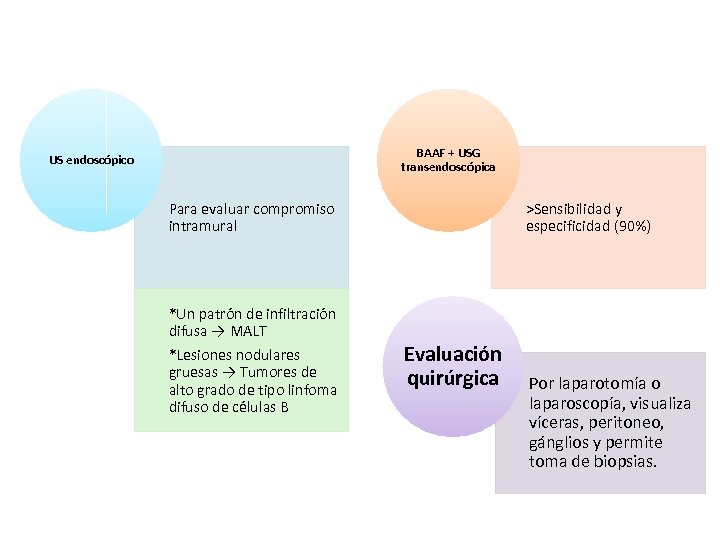 BAAF + USG transendoscópica US endoscópico Para evaluar compromiso intramural *Un patrón de infiltración