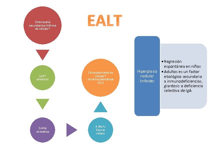 Enteropatía secundaria a linfoma de células T EALT Linf T entéricos Clona aberrante de