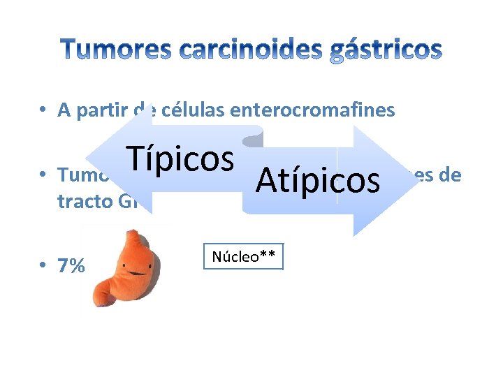  • A partir de células enterocromafines Típicos • Tumores neuroendocrinos más comunes de