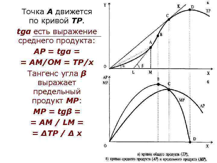 Точка А движется по кривой ТР. tgα есть выражение среднего продукта: AP = tgα