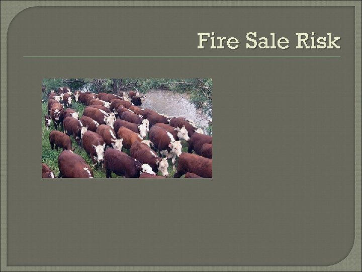 Fire Sale Risk 