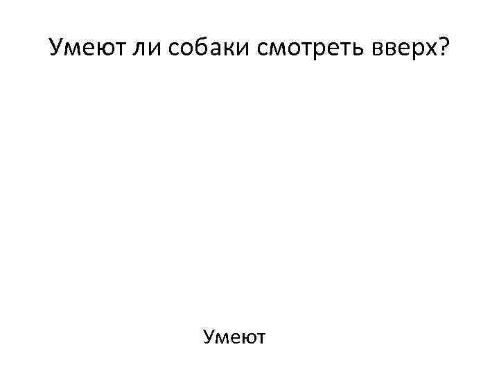 Умеют ли собаки смотреть вверх? Умеют 