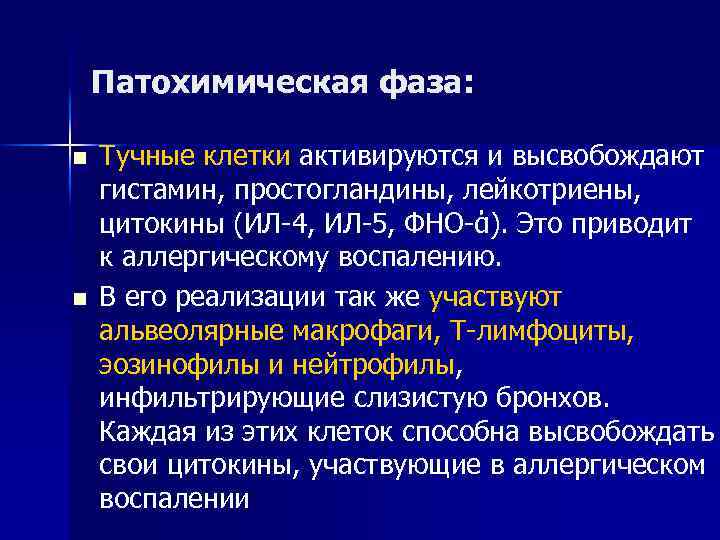 Патохимическая фаза: n n Тучные клетки активируются и высвобождают гистамин, простогландины, лейкотриены, цитокины (ИЛ-4,