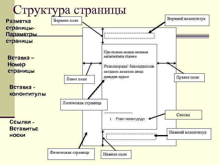 Верхнее поле. Структура страницы документа Word. Какова структура страницы документа Word. Структура для создания текстового документа. Верхнее поле верхний колонтитул.