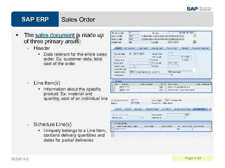 SAP ERP § Sales Order The sales document is made up of three primary