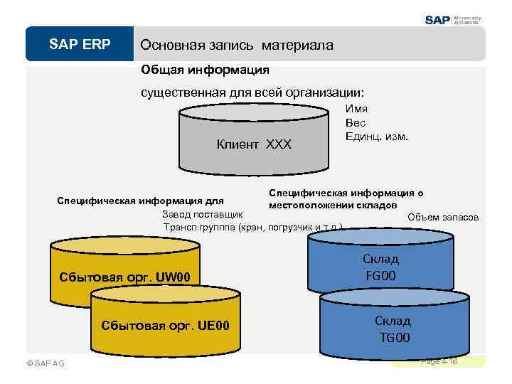 SAP ERP Основная запись материала Общая информация существенная для всей организации: Клиент XXX Имя