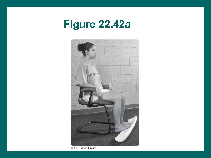 Figure 22. 42 a 