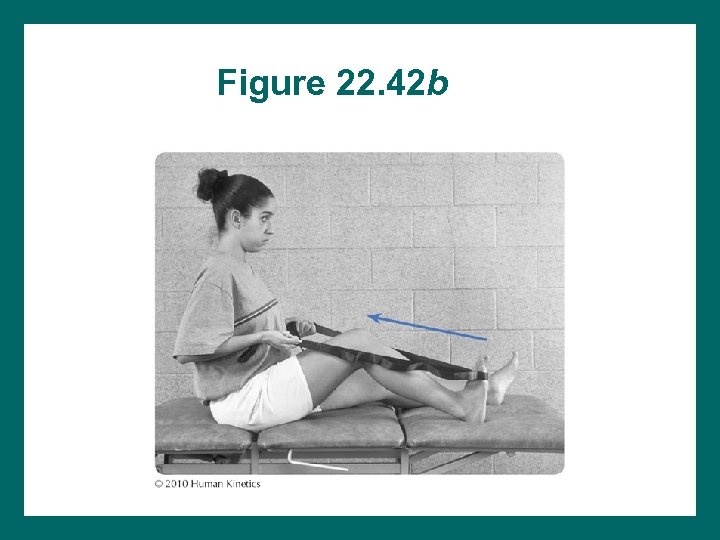 Figure 22. 42 b 