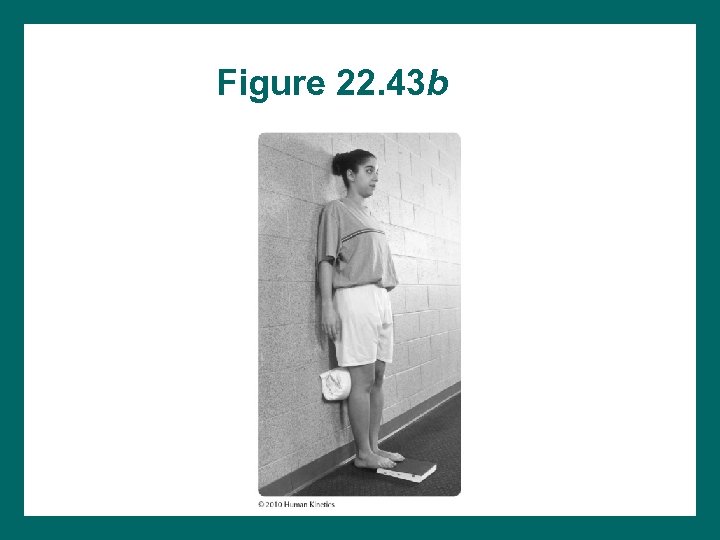 Figure 22. 43 b 