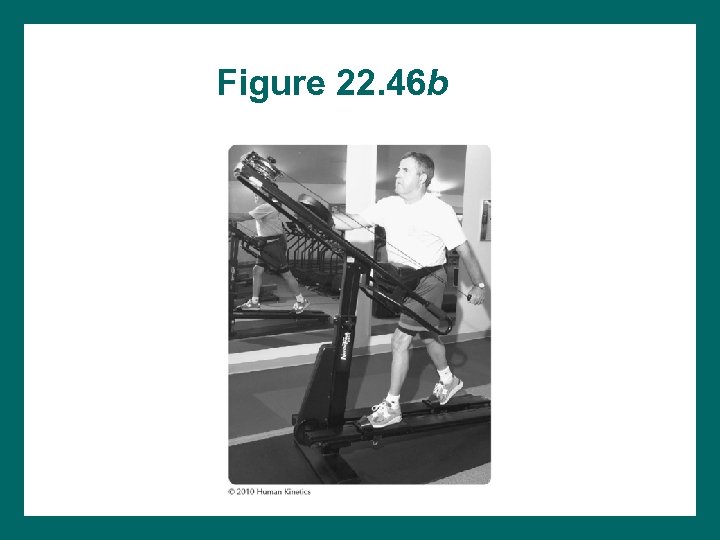 Figure 22. 46 b 