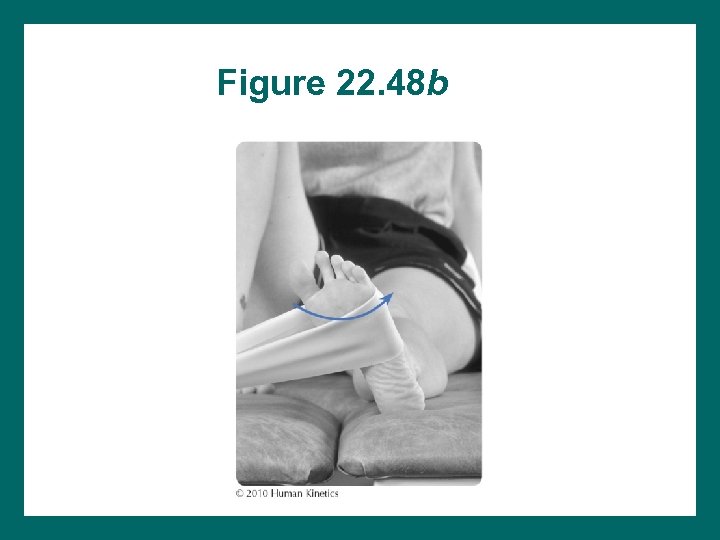 Figure 22. 48 b 