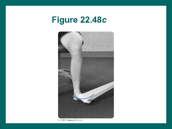 Figure 22. 48 c 