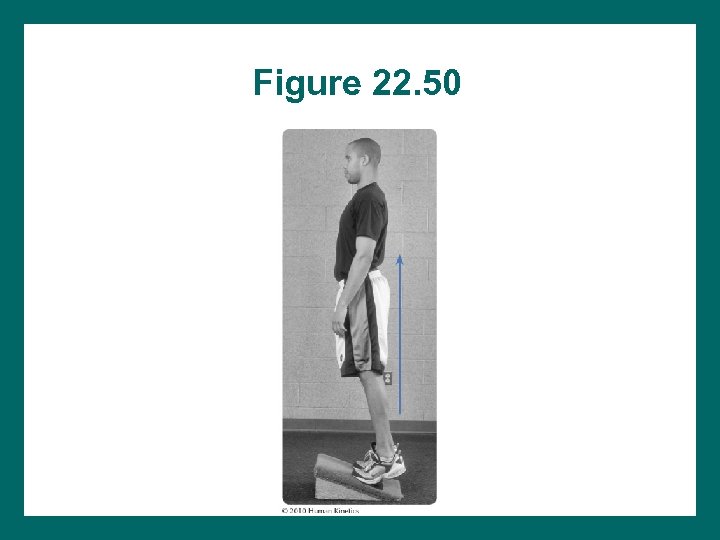 Figure 22. 50 