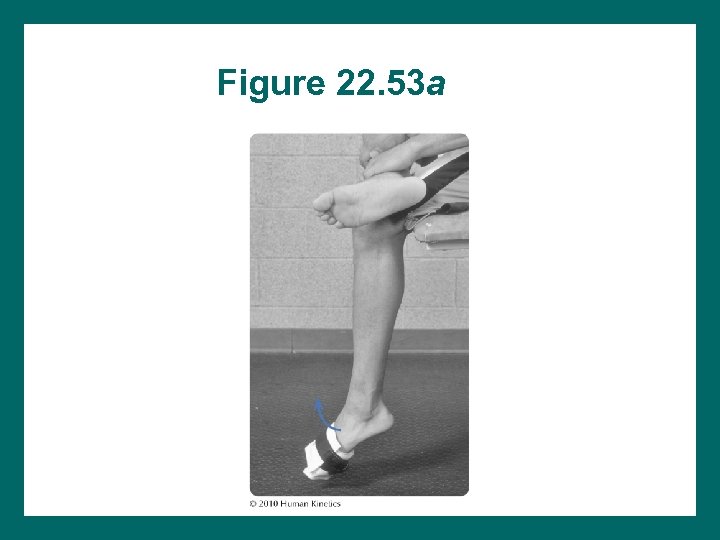 Figure 22. 53 a 