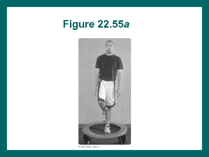 Figure 22. 55 a 